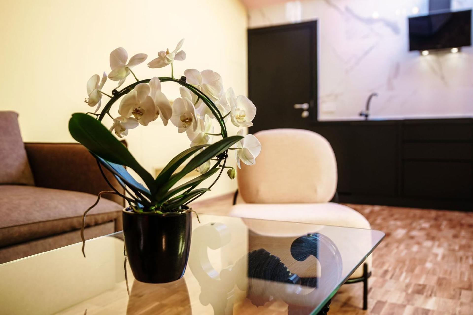 Vitrum - Como Luxury Suites Cameră foto